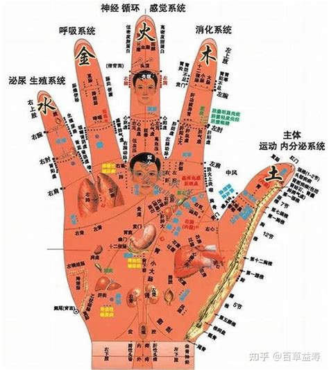 食指代表器官|看五指，知五脏，手指对应人体各个系统，赶快对照看看自己的手。